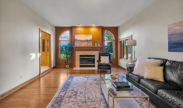 living room featuring light hardwood / wood-style flooring and a fireplace