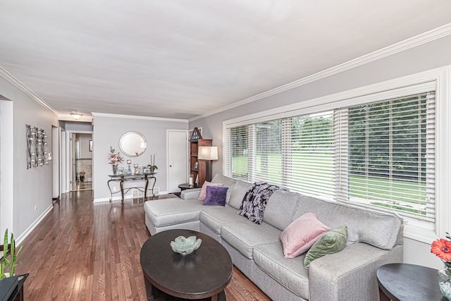 living room with ornamental molding and hardwood / wood-style floors