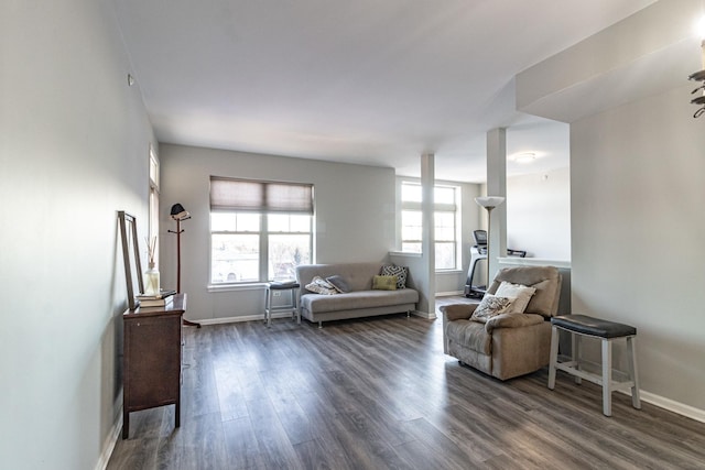 living room featuring dark wood-type flooring