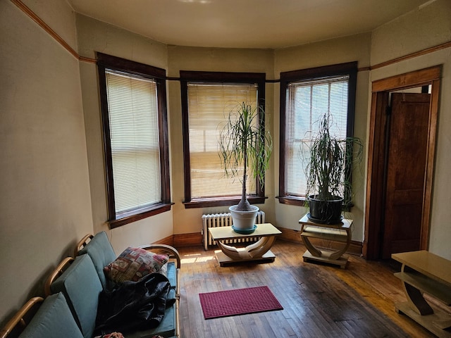 sitting room featuring dark hardwood / wood-style floors and radiator heating unit