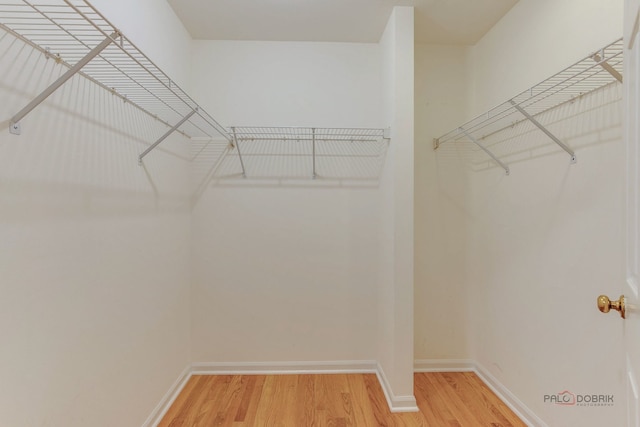 walk in closet with hardwood / wood-style floors