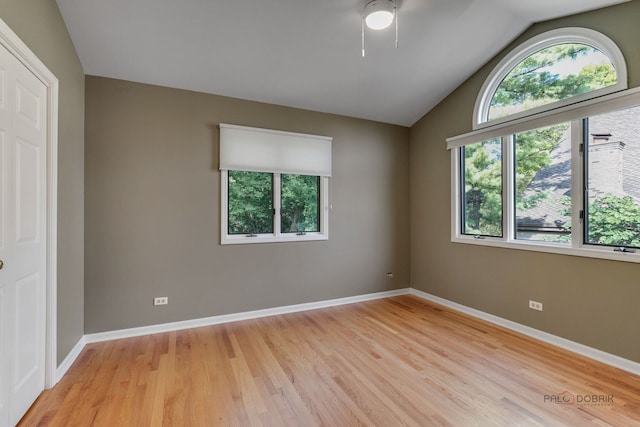 interior space featuring ceiling fan, lofted ceiling, light wood-type flooring, and multiple windows