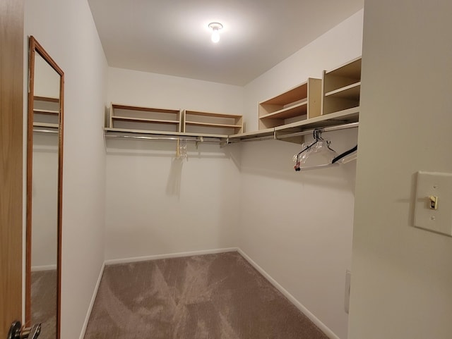 spacious closet with carpet floors