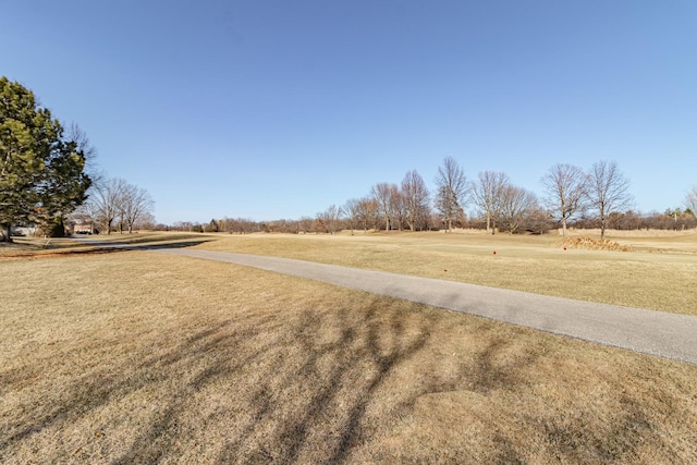 4463 Kettering Dr, Long Grove, IL 60047 - view of street