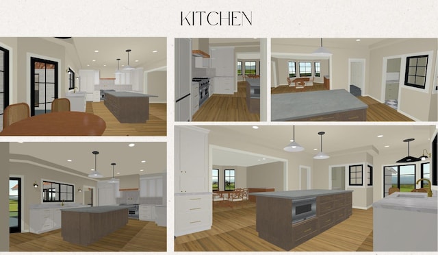 4463 Kettering Dr, Long Grove, IL 60047 - view of marketing collateral with multiple images
