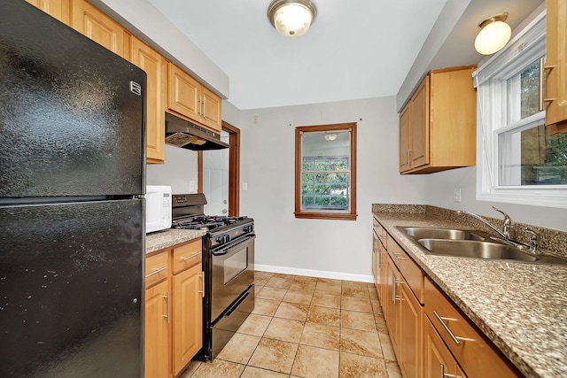 18018 Wentworth Ave, Lansing, IL 60438 - kitchen featuring a sink, gas range, baseboards, under cabinet range hood, and freestanding refrigerator
