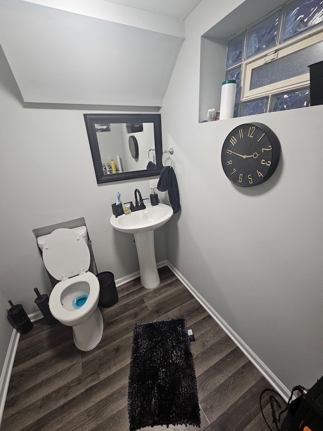 bathroom with wood-type flooring and toilet