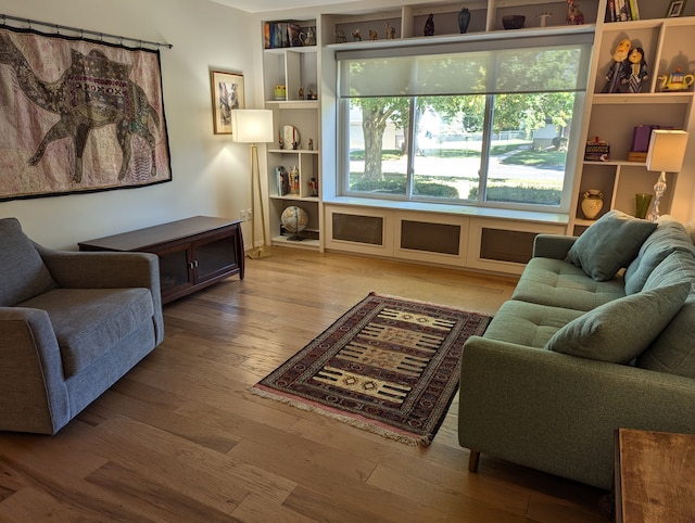 living room with wood-type flooring