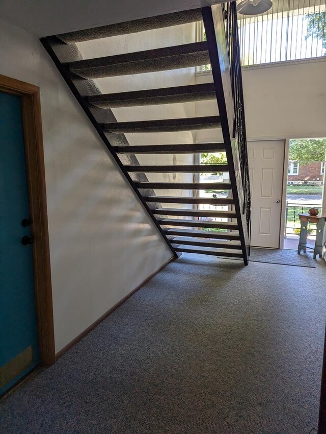 stairs featuring carpet