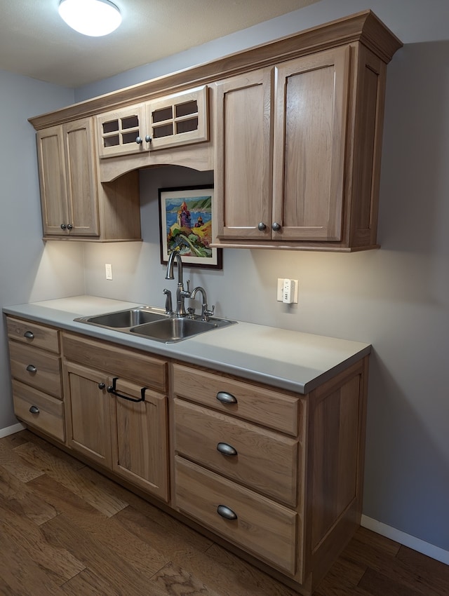 kitchen with dark wood-type flooring and sink