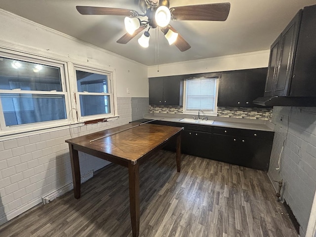 kitchen featuring ceiling fan, dark hardwood / wood-style floors, decorative backsplash, sink, and crown molding