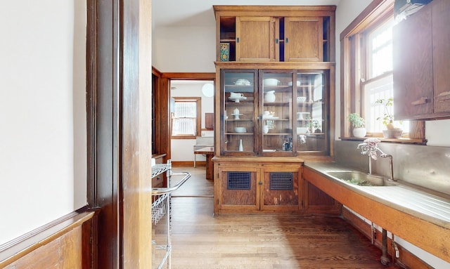 office featuring hardwood / wood-style flooring and sink