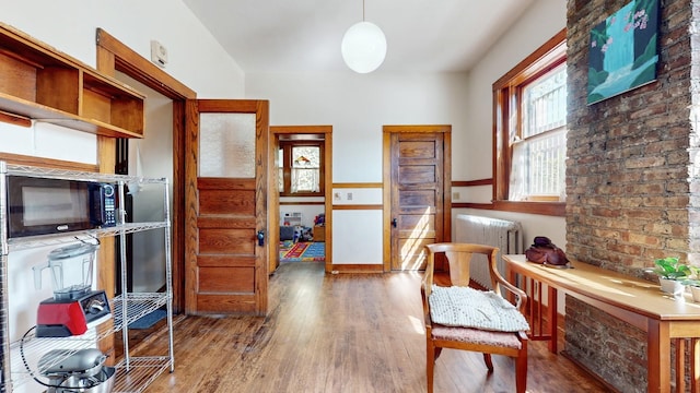 interior space with wood-type flooring and radiator