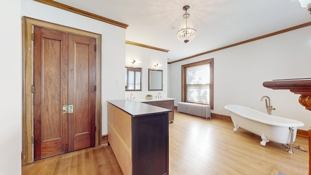 bathroom with radiator, vanity, wood-type flooring, ornamental molding, and a bathing tub