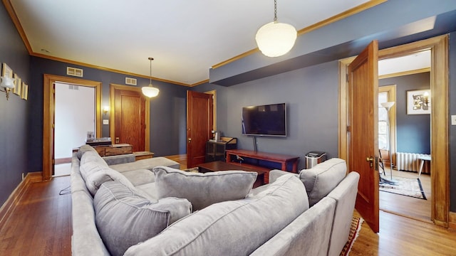5235 S University Ave, Chicago, IL 60615 - living area with light wood finished floors, baseboards, crown molding, and radiator
