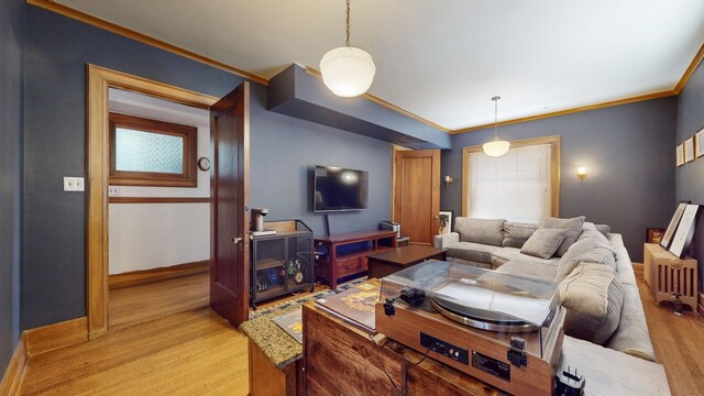 5235 S University Ave, Chicago, IL 60615 - living room with light wood finished floors, baseboards, and ornamental molding