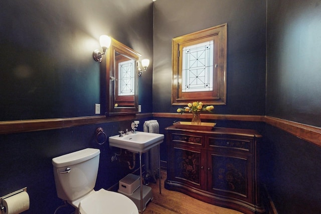 bathroom with hardwood / wood-style flooring and toilet