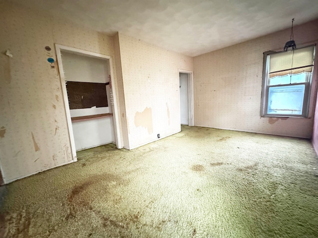 unfurnished bedroom featuring carpet floors