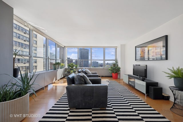 living room featuring hardwood / wood-style floors