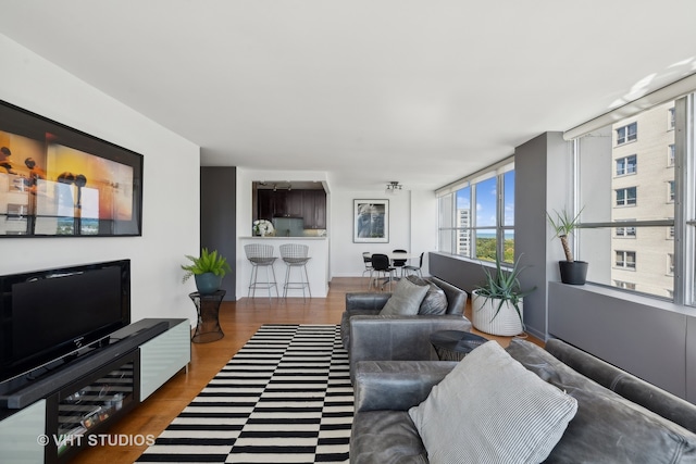 living room with hardwood / wood-style floors