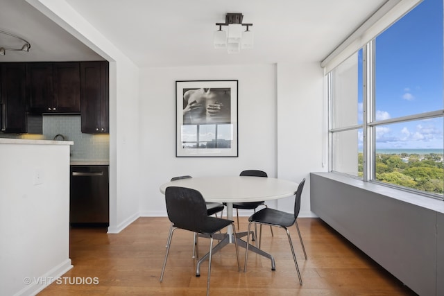 dining space with light hardwood / wood-style floors