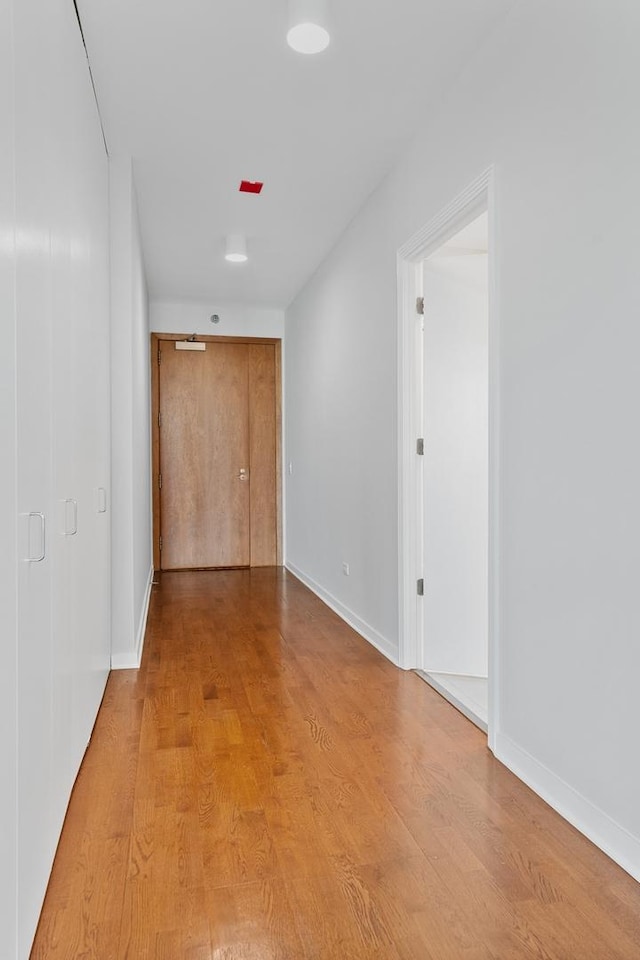 unfurnished room with light hardwood / wood-style flooring