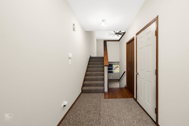 corridor with dark colored carpet