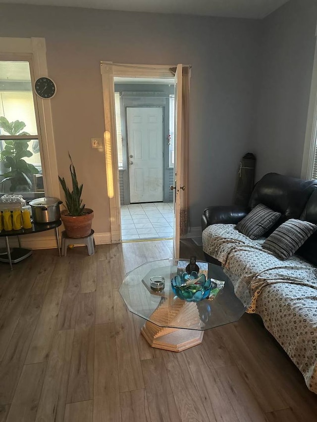 living room featuring light wood-type flooring