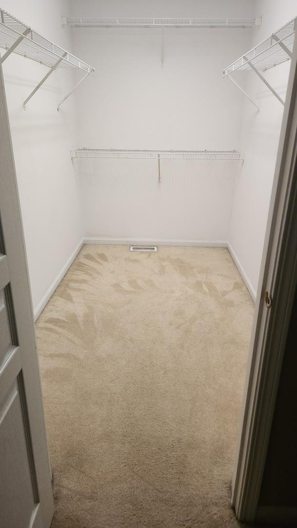 walk in closet featuring carpet flooring