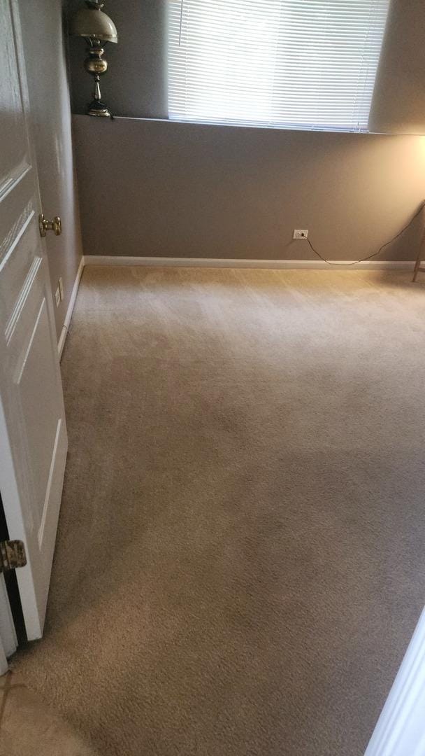 spare room featuring carpet floors