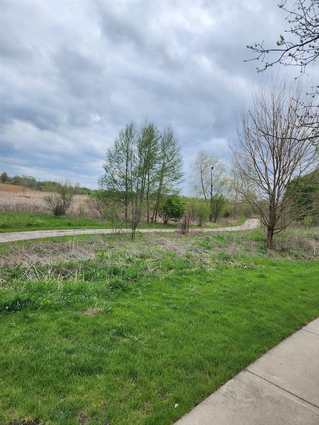 view of yard featuring a rural view