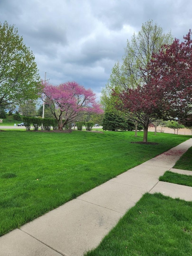 view of home's community featuring a lawn