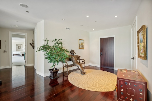 foyer with dark wood-type flooring