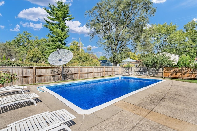 view of swimming pool featuring a patio