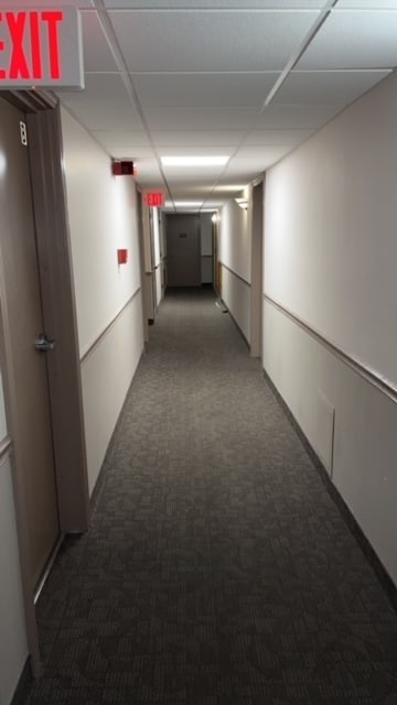 corridor featuring carpet floors and a paneled ceiling