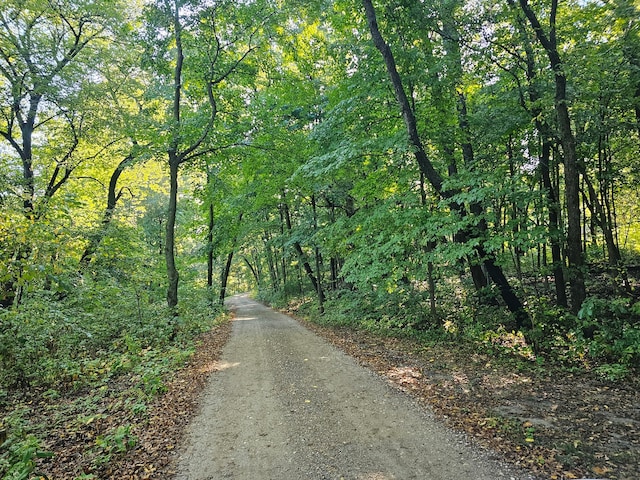 view of road