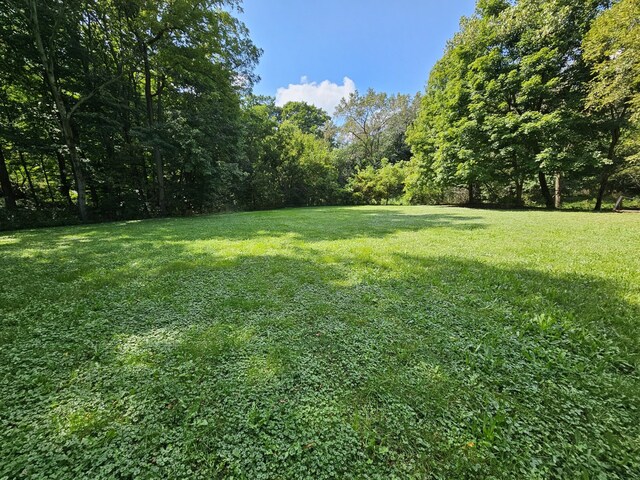 view of yard featuring an outbuilding