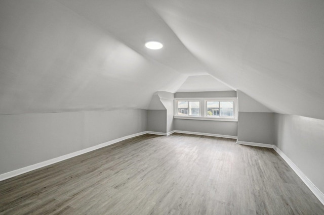 additional living space featuring wood-type flooring and lofted ceiling