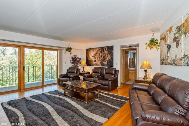 living room featuring hardwood / wood-style flooring