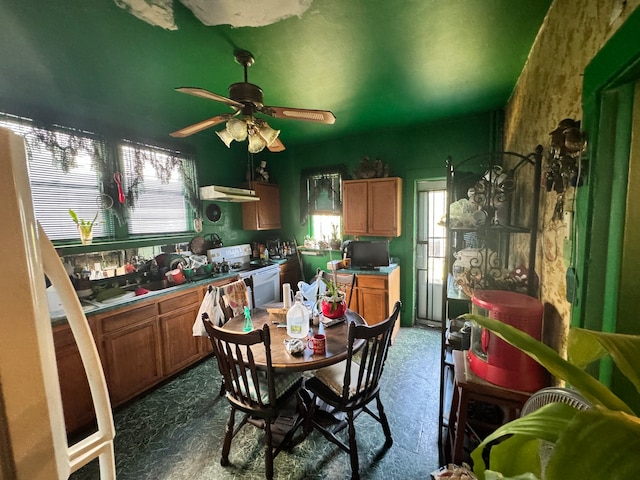 kitchen featuring a wealth of natural light, ceiling fan, white electric stove, and extractor fan