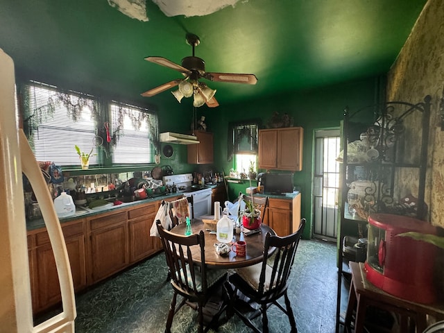 kitchen featuring ceiling fan, white electric stove, and range hood