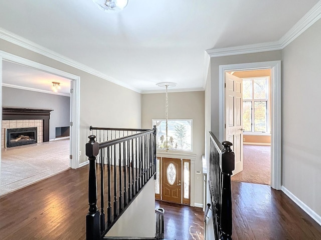 foyer featuring crown molding, dark hardwood / wood-style floors, and a tile fireplace