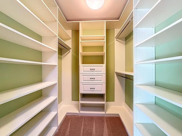 walk in closet with dark carpet