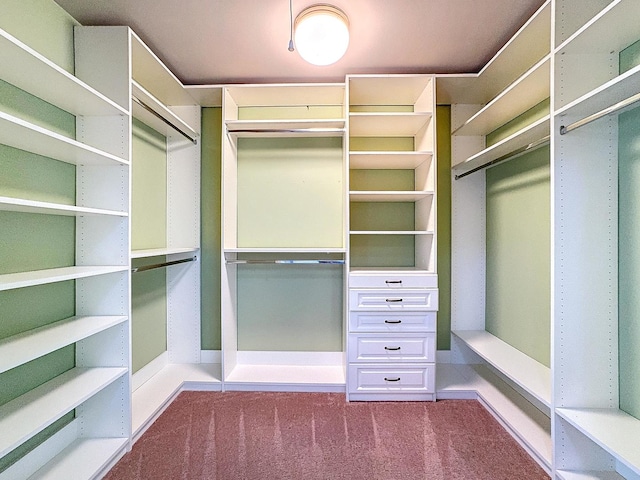 spacious closet with dark colored carpet