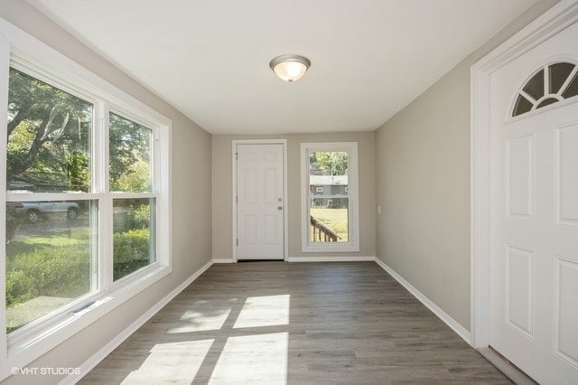 entryway featuring plenty of natural light and dark hardwood / wood-style flooring