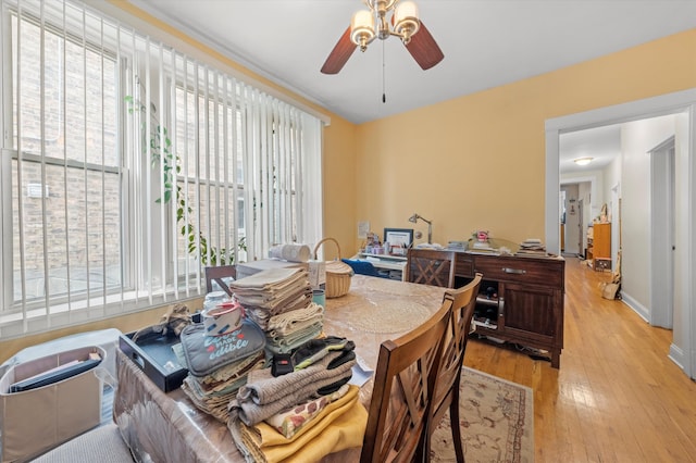 dining room featuring ceiling fan and light wood-type flooring