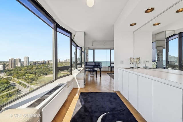 interior space with white cabinets, light hardwood / wood-style floors, and a healthy amount of sunlight