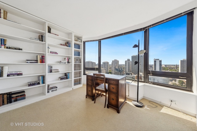 office area with carpet flooring