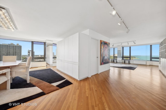 living room featuring light wood-type flooring, plenty of natural light, a water view, and rail lighting