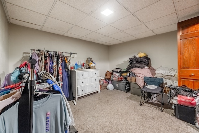 interior space with a drop ceiling and carpet flooring